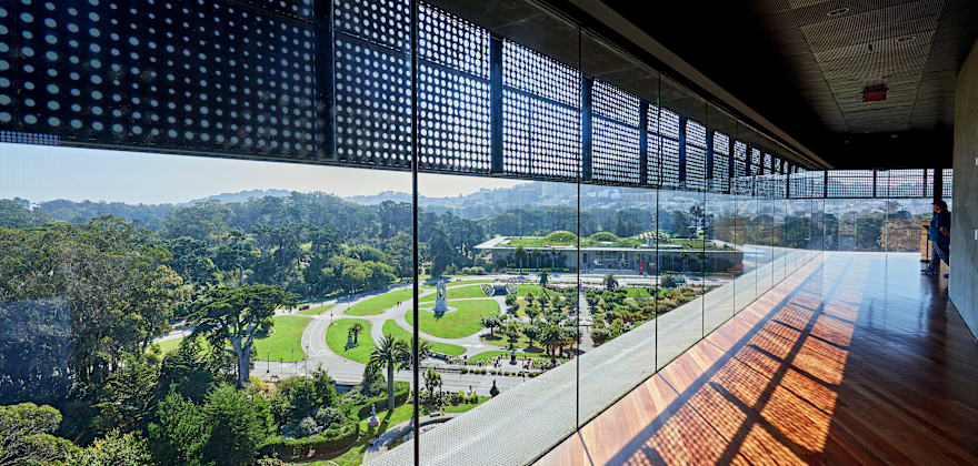The Ultimate Golden Gate Park Guide