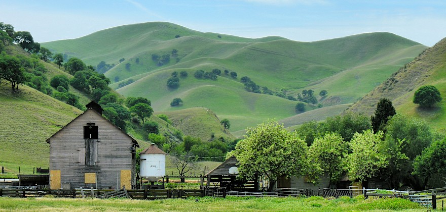4 Contra Costa Parks to Visit in Spring