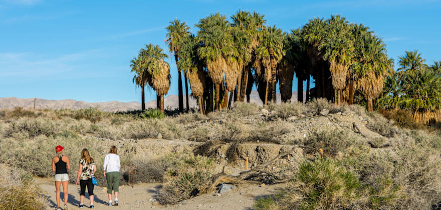 4 Ideal Winter Desert Destinations