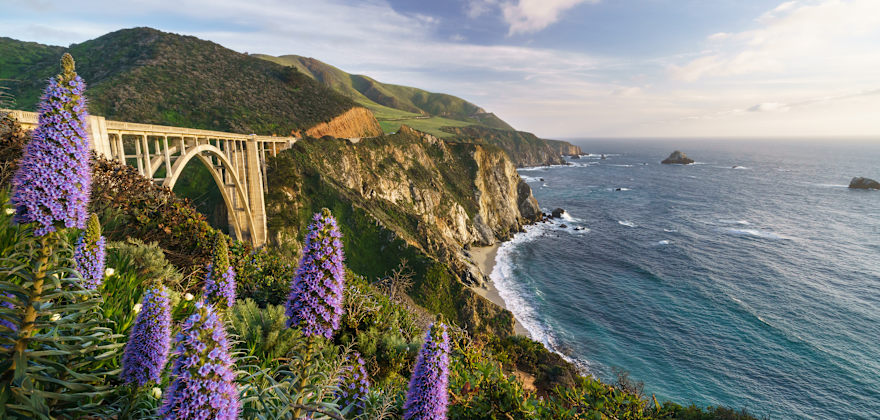 Must-See Big Sur Nature Spots and Views