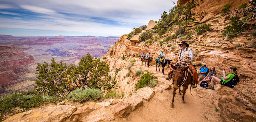 Top Things to Do at the Grand Canyon