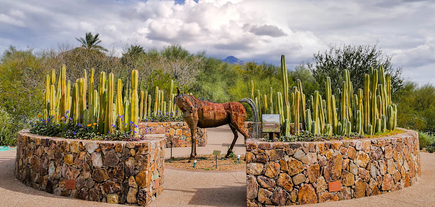 a sculpture of a horse at Tohono Chul Park in Tucson