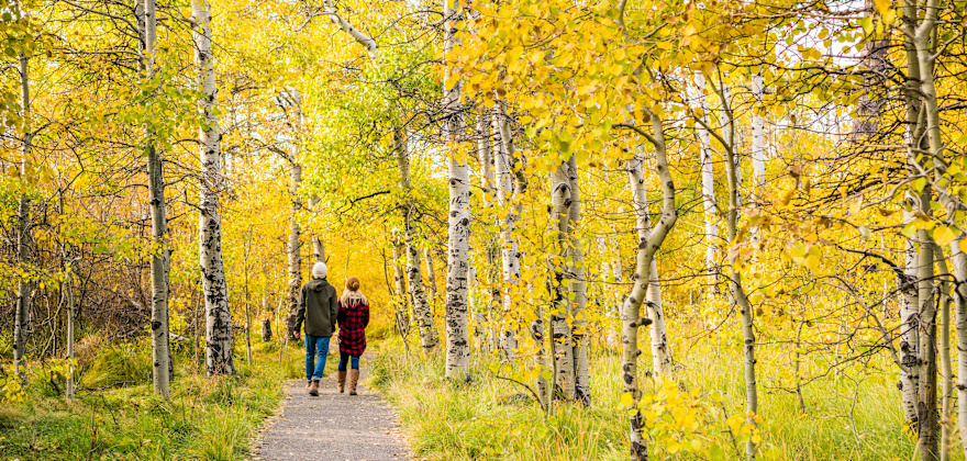 Best Places to See Fall Color in the West