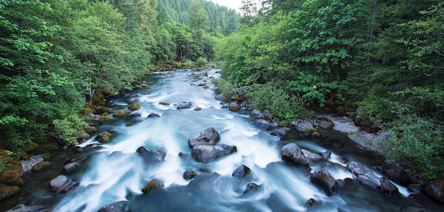 Cleaning Up Oregon's Beautiful Willamette River