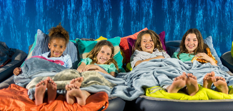 Stay Overnight at These Bay Area Museums and Zoos