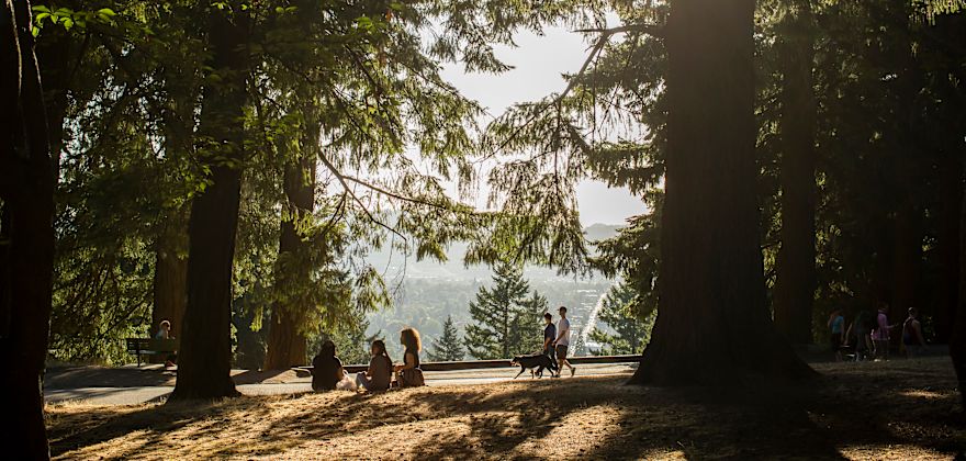 Your Favorite Urban Parks in the Pacific Northwest