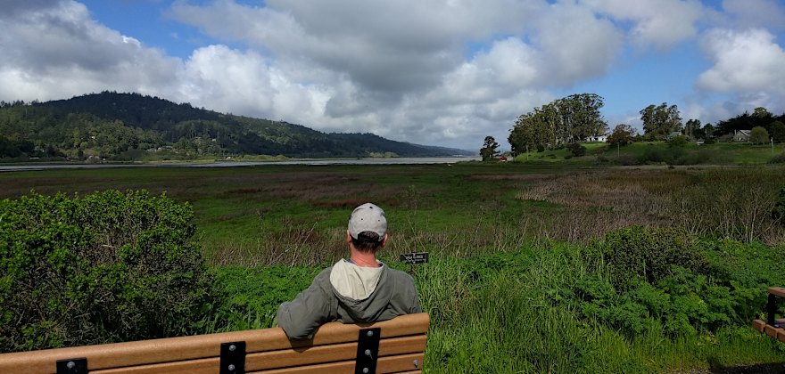 Giacomini Wetlands: A West Marin Gem