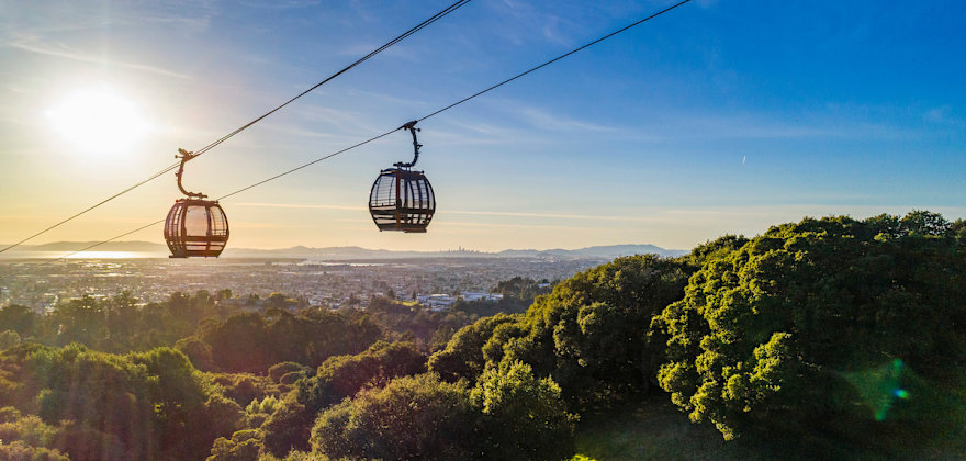 gondolas ferrying visitors to and from the Oakland Zoo's California Trail, picture