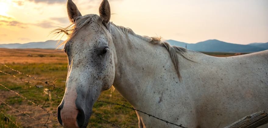Things We Love about Lewistown, Montana