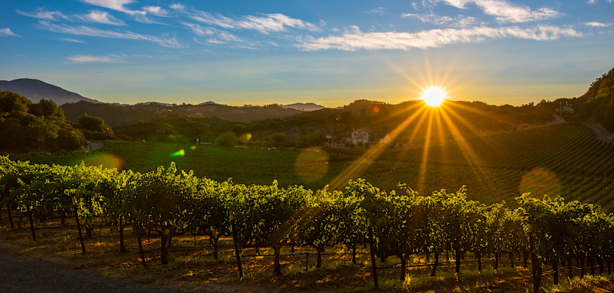 Silverado Trail Wineries: The Quiet Side of Napa