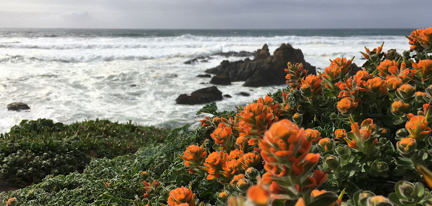 3 Scenic Spring Hikes in Mendocino County