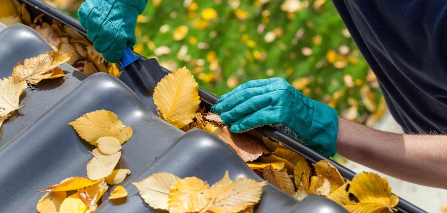 10 Things to Do Right Now to Prepare for Fall