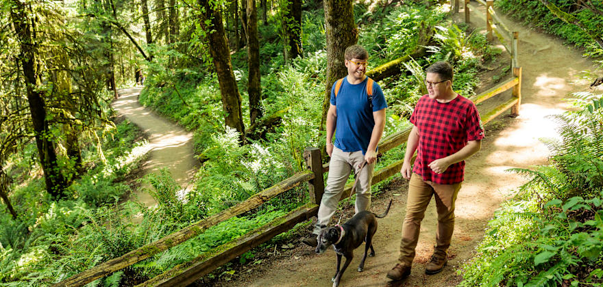 two men walk a dog on a trail in Forest Park in Portland, Oregon.
