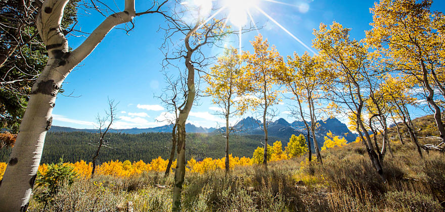 Sawtooth Mountains rise behind changing aspens in Sun Valley, Idaho.