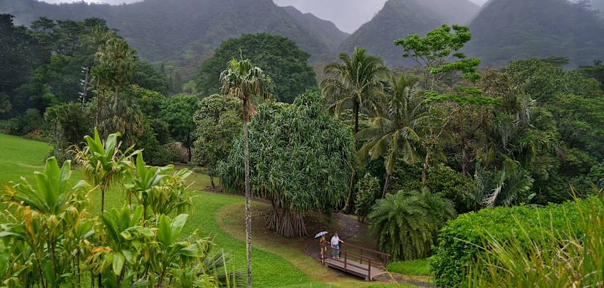 Hidden Gem: Honolulu's Lyon Arboretum