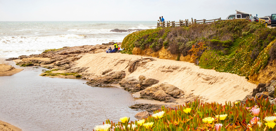 Top Things to Do in Pescadero, California