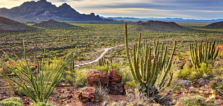 5 Great Arizona Drives