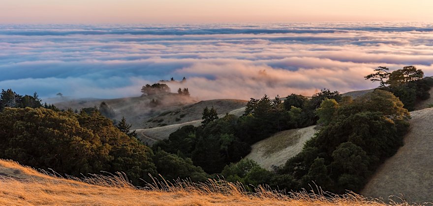 Bay Area Hikes With Great Payoffs
