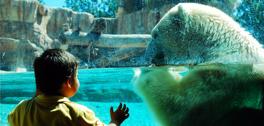 Reader's Favorite Animal Parks and Zoos