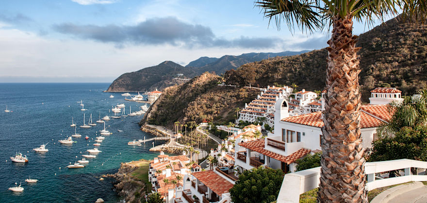 Catalina Island: 5 Things We Love