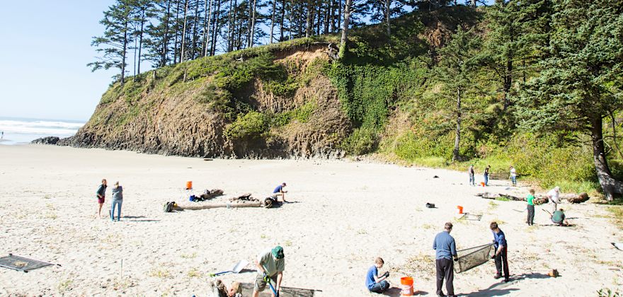 How to Save Our Beaches from Plastic Pollution