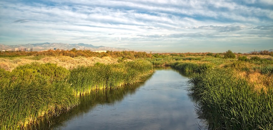Top Las Vegas Attractions and Secret Gems