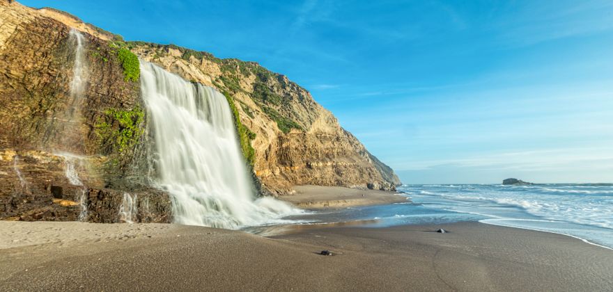 Beauty Meets Bounty in Marin County