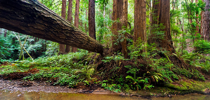 Top California Wilderness Spots Without the Crowds