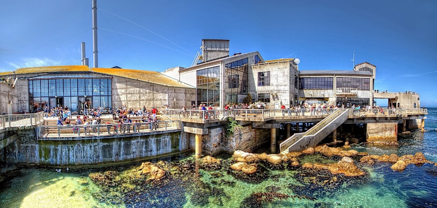 Ultimate Monterey Coast Road Trip
