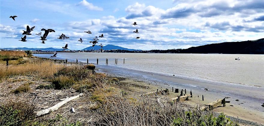 A Weekend in Benicia, California