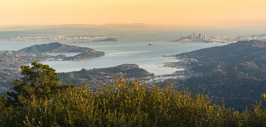 Mount Tam and Mill Valley Day Trip