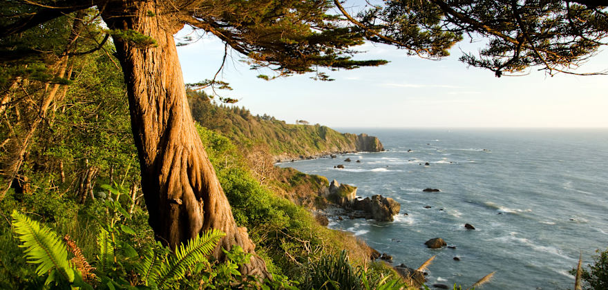 Readers' Favorite State Parks to Visit in Summer