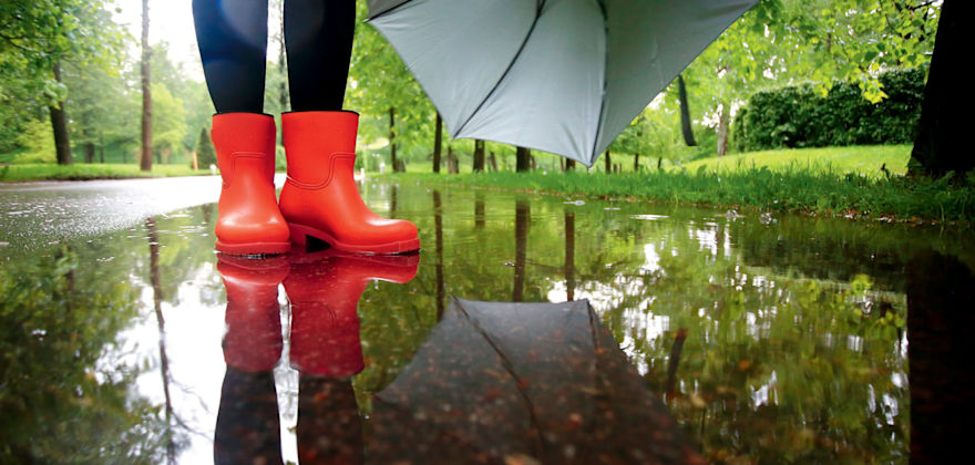 Your Complete Disaster Preparedness Plan