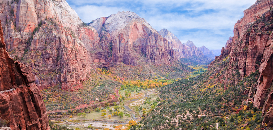 fall colors in Zion National Park, Utah