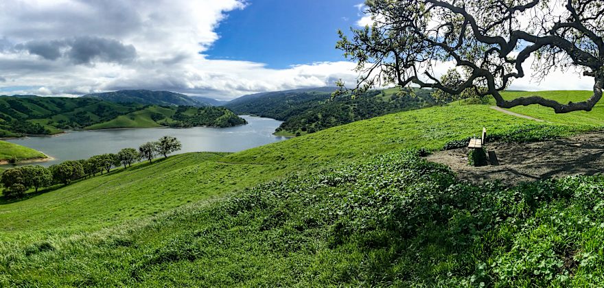 The Bay Area's Secret Wine Country