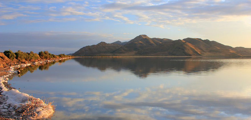 What to See and Do on Salt Lake's Antelope Island
