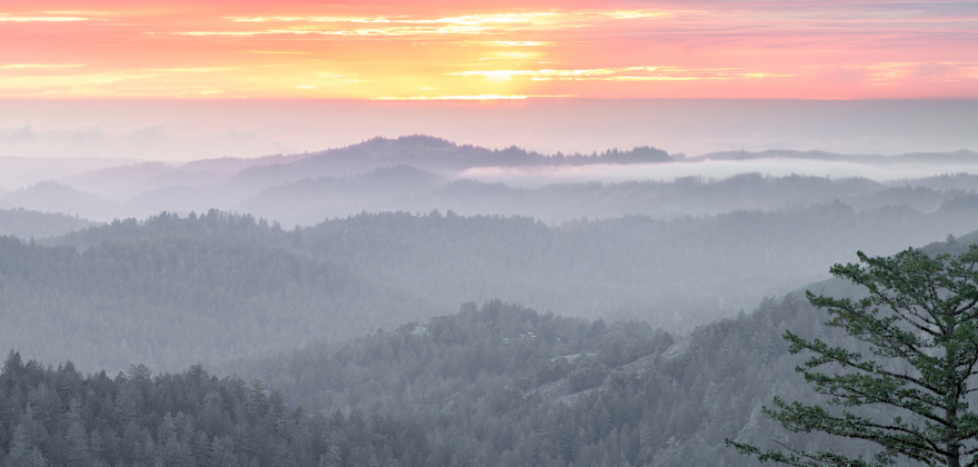 The Corralitos Wine Trail in the Santa Cruz Mountains