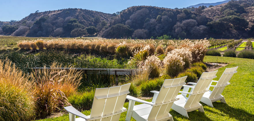 Adirondack chairs at the edge of a pond at Wrath Wines, picture
