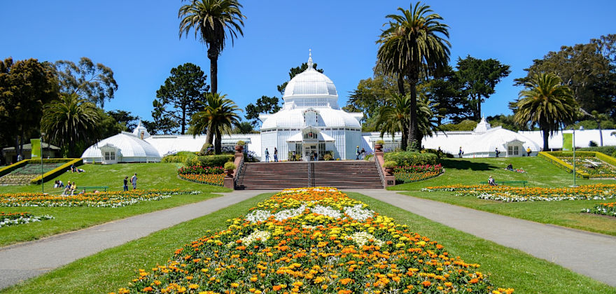 8 Great Weekend Adventures in Golden Gate Park
