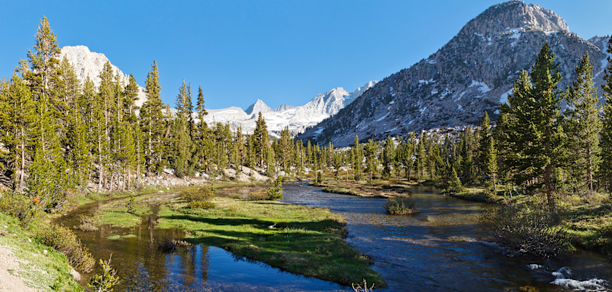 a creek runs through the trees with a mountain in the background