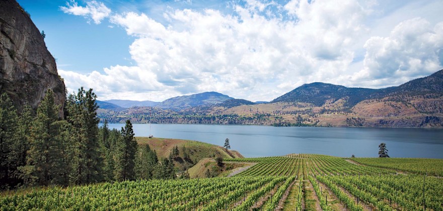 Okanagan Valley, B.C.: A Food Epicenter