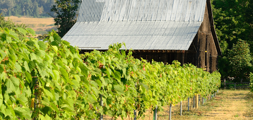 Roseburg, Oregon Weekend Escape