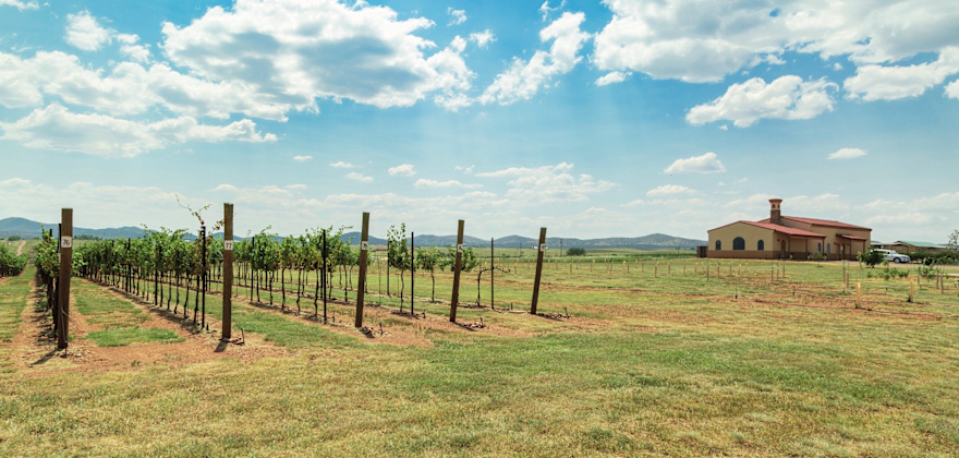 Visiting Arizona Wine Country