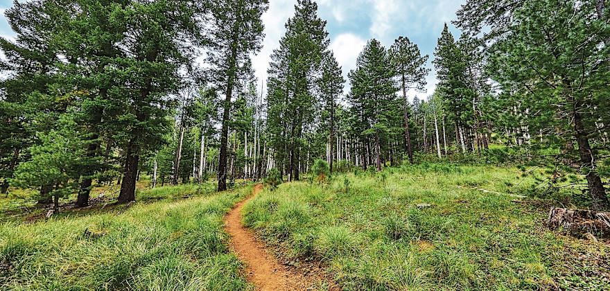 Weekend in Pinetop-Lakeside, Arizona