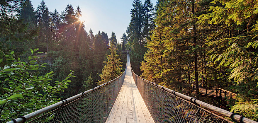 Capilano Suspension Bridge in Vancouver, B.C.