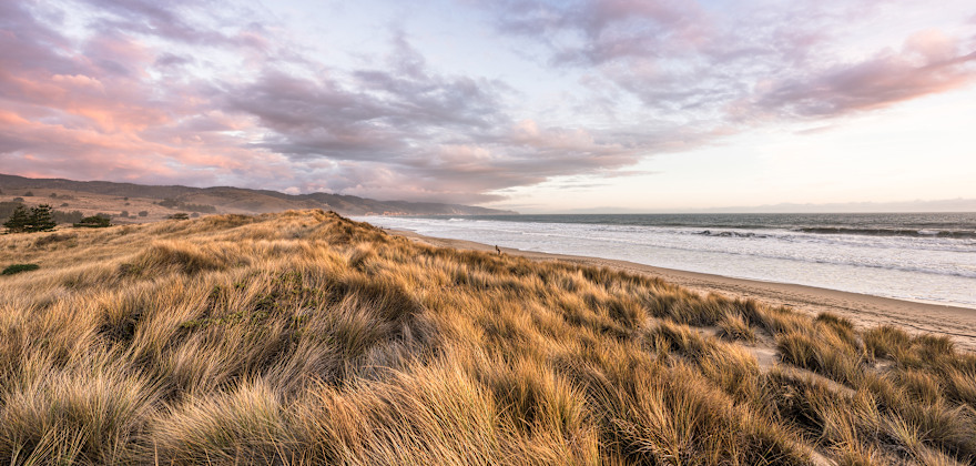 A Weekend Away in Tomales Bay, CA
