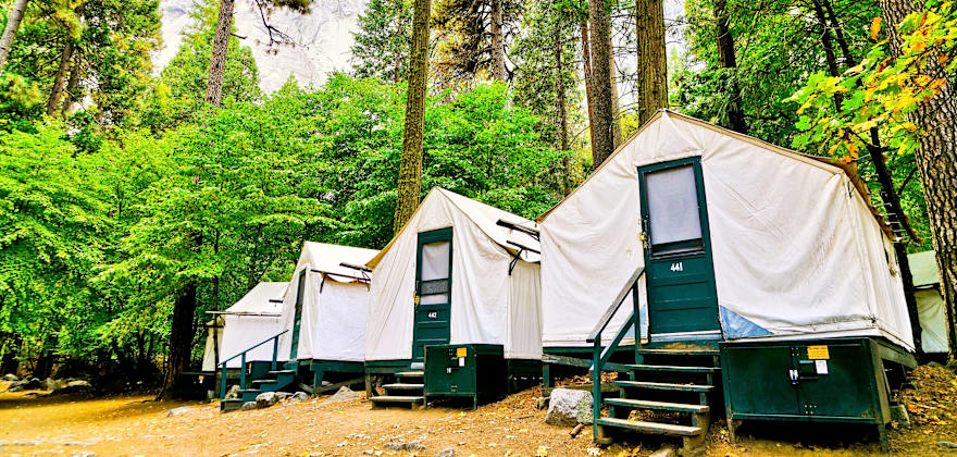 How to Keep Animals and Bugs Away Outdoors