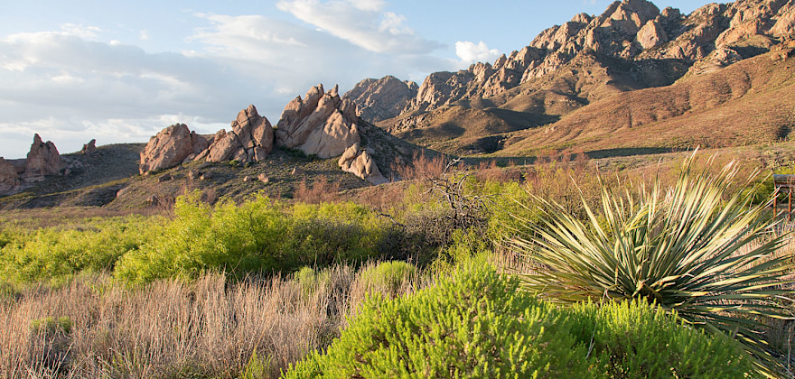 Things to Do in Las Cruces, New Mexico
