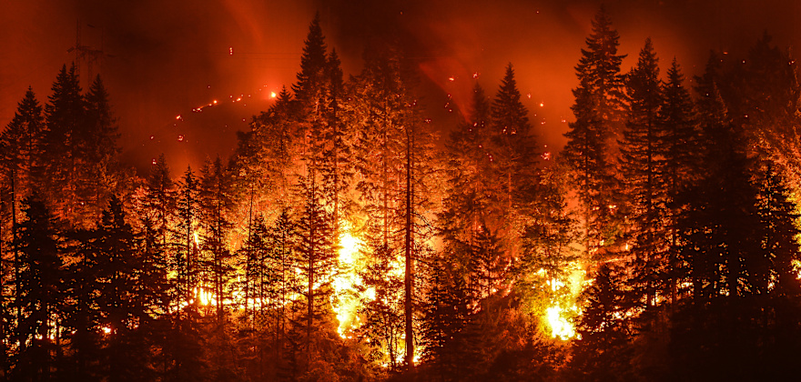 Are You Ready for a Wildfire?