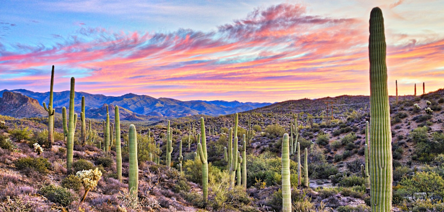 Places to Visit and Things to Do in Arizona